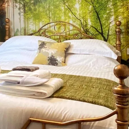 Luxury Tree-House With Optional Espa Spa Canterbury Exterior photo